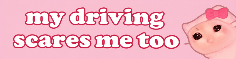 my driving · scares me too