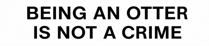 BEING AN OTTER · IS NOT A CRIME