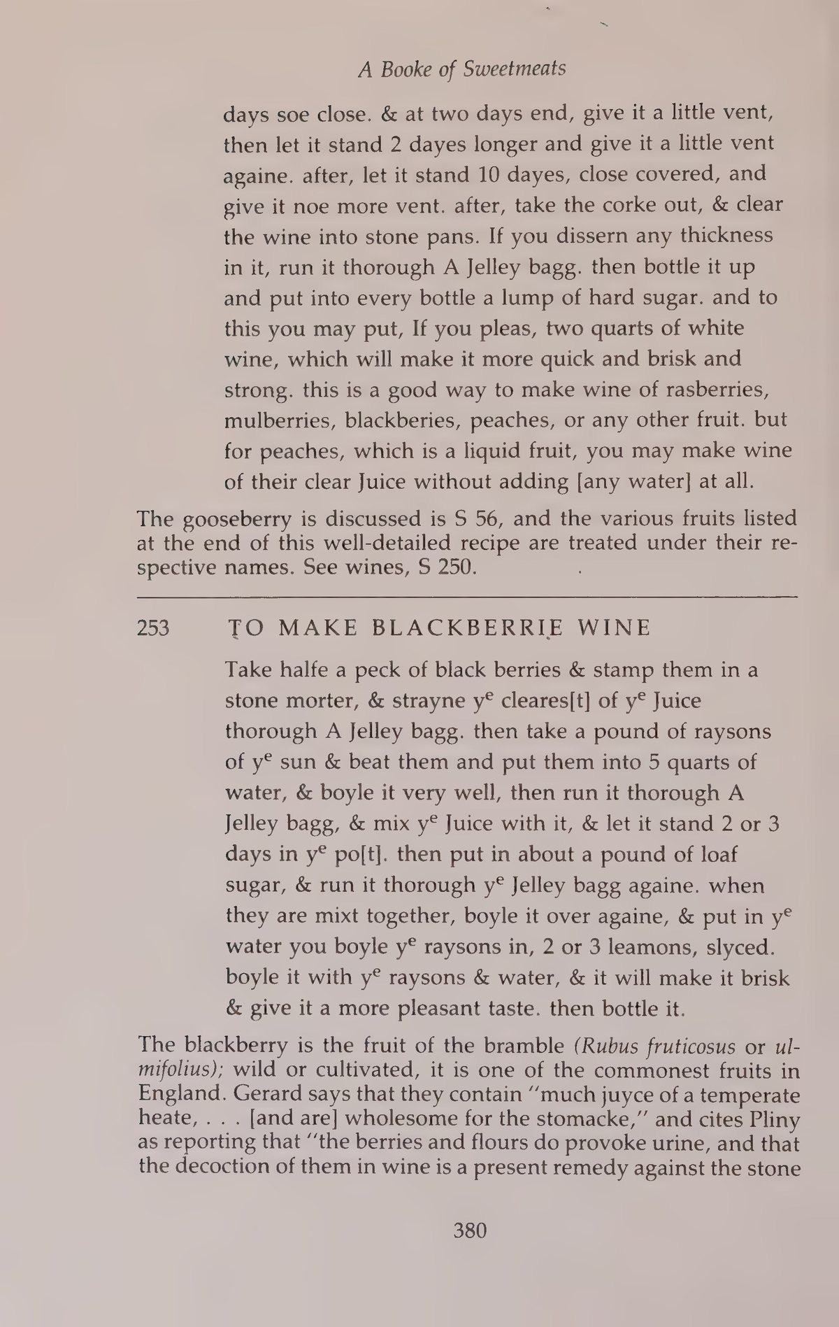 Printed page 380 containing Blackberrie Wine