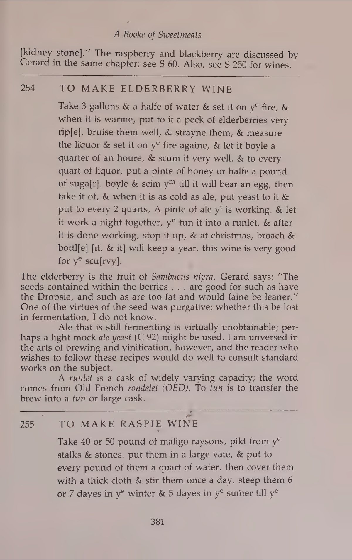Printed page 381 containing Elderberry Wine and Raspie Wine